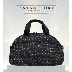 Сумка спортивная Antan, 23 л, 19х25х41 см, ручная кладь, черный
