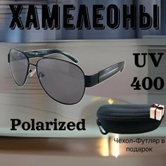 Солнцезащитные очки , черный Хамелеон