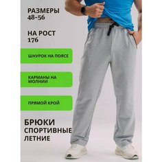 Брюки спортивные KAYSAROW Ганс, размер 176-96-84, серый меланж