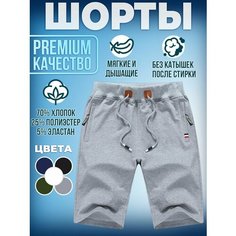 Шорты , размер 3XL, серый/серый Am Me