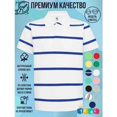 Поло TEAL Трикотаж, размер 14, белый, синий