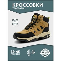 Ботинки T.Taccardi, размер 40, светло-коричневый