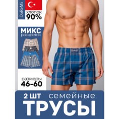 Трусы DoReMi, комплект из 2 шт., размер 8, разноцветный