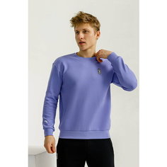 Свитшот ANTA, размер 4XL, , фиолетовый