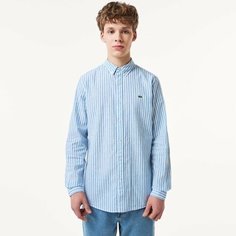 Рубашка LACOSTE, размер 48/50, голубой