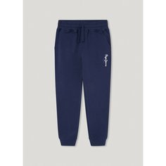 Брюки спортивные Pepe Jeans, размер 16 лет, синий