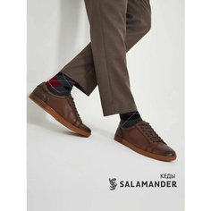 Кеды Salamander Осень-зима 2024, полнота 6 (RU)/ на среднюю стопу, размер 40, коричневый