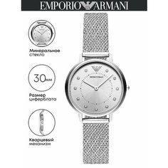 Наручные часы EMPORIO ARMANI, серебристый