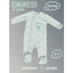 Комбинезон JTI Осень-Зима 2024-2025, размер 56, бледно-зеленый