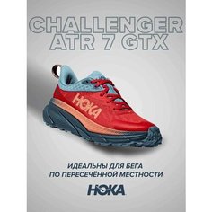 Кроссовки HOKA ONE ONE, полнота B, размер US10.5B/UK9/EU43 1/3/JPN27.5, голубой, красный, синий