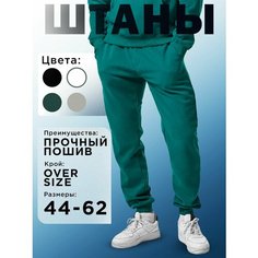 Брюки спортивные Премиум, размер 44-46 Am Me