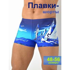 Шорты для плавания Империя белья Плавательные шорты PW SOLID BOARDSHORT, размер 54, синий