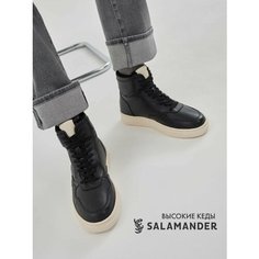 Ботинки тимберленды Salamander, размер 40, черный