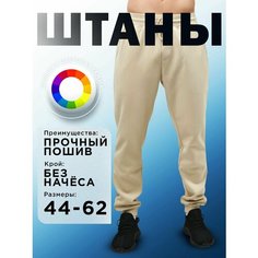 Брюки спортивные Премиум, размер 48-50, бежевый Am Me