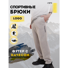 Брюки спортивные Finntrail Logo, размер XS, grey