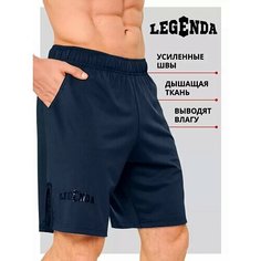 Шорты Legenda, размер XS, темно-синий