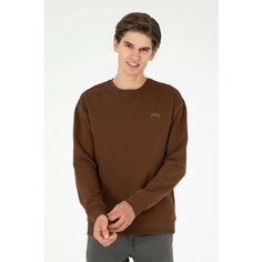 Свитшот U.S. POLO ASSN., размер S, , коричневый
