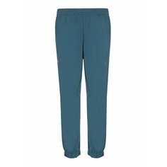 Брюки джоггеры EA7 EMPORIO ARMANI, размер M, cиний