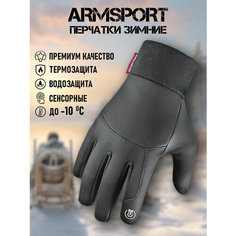 Перчатки ARMSPORT Зима-демисезон для мужчин, размер М, серый