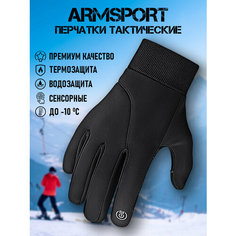 Перчатки ARMSPORT Зима-демисезон для мужчин, размер M, черный