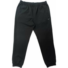Брюки спортивные Bilcee Bilcee Mens Sweatpants, размер 6XL, серый