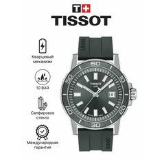 Наручные часы TISSOT, серый/серебристый