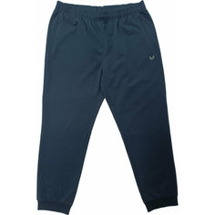 Брюки спортивные Bilcee Bilcee Mens Sweatpants, размер 6XL, синий