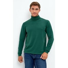 Водолазка Fine Joyce, размер 6XL, , зелёный