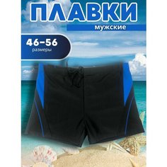 Плавки , размер 46-48, Темно-голубой Нет бренда