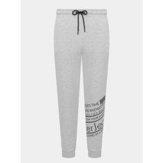 Брюки спортивные Ritter jeans, размер 48, серый