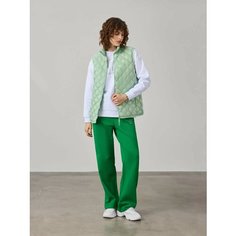 Брюки спортивные JUST CLOTHES, размер 48, зелёный
