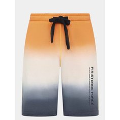 Шорты Finisterre Force, размер 58, мультиколор