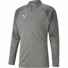 Толстовка PUMA teamCUP, размер M, , серый