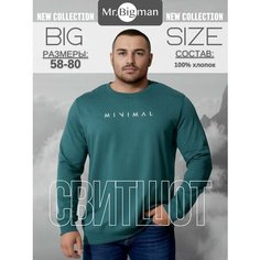 Свитшот MR. BIGMAN, размер 62, , изумрудный