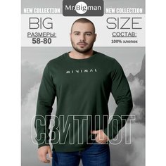 Свитшот MR. BIGMAN, размер 78, , темный хаки