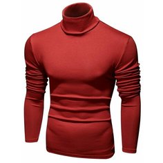 Водолазка Envy Lab, размер M, , бордовый