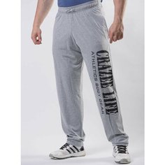 Брюки спортивные Crazee Life, размер XL, серый
