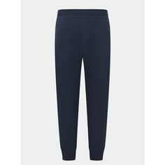 Брюки спортивные Armani Exchange, размер S, cиний