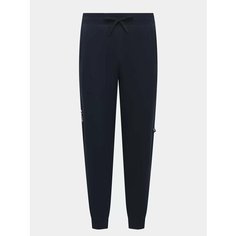 Брюки спортивные EA7 EMPORIO ARMANI, размер L, темно-синий