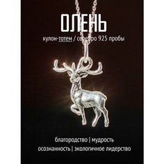 Подвеска TOTEMICA, серебро, 925 проба, родирование, серебро