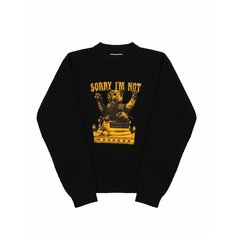 Джемпер SORRY, IM NOT, размер One Size, , черный
