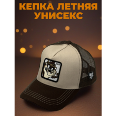 Бейсболка для мужчин, размер 54-60, brown Нет бренда