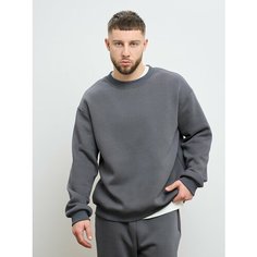 Свитшот Телодвижения, размер 46, , серый