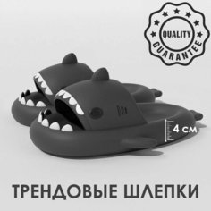 Шлепанцы , размер 36-37, черный Нет бренда
