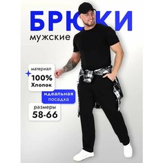 Брюки Bolar, размер 58, черный
