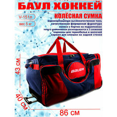 Сумка-баул Bitex, 155 л, 40х43х86 см, синий, красный