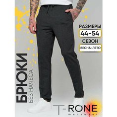 Брюки T-RONE menswear, размер 54, темно-серый