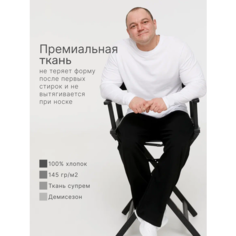 Лонгслив MR. BIGMAN большие размеры, ткань супрем, плотность 145 г/м2, размер 66, , белый