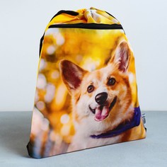 Мешок для обуви Art Fox Study