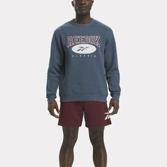 Худи спортивное Reebok Archive Essentials Hoodie, размер 2XS, , синий